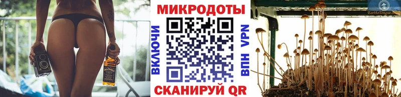 Галлюциногенные грибы мицелий где купить наркотик Холм